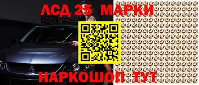 гидропоника Сланцы