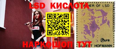 гидропоника Сланцы