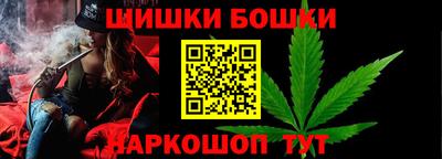 гидропоника Сланцы