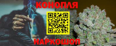 тгк Славгород